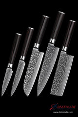 5 Piece Damascus Kitchen Knife Set, 67 Layer Chef Knife, Pakka Wood Handles