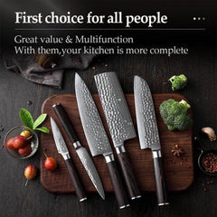 5 Piece Damascus Kitchen Knife Set, 67 Layer Chef Knife, Pakka Wood Handles