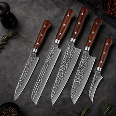 5-Piece Damascus Kitchen Knife Set – 67 Layer High Carbon Steel Knives, Rosewood Triple Rivet Handles, Professional Chef Gift Set