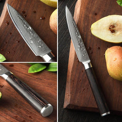 B1Z 5 inch 67 Layers Damascus steel Utility Knife for Cutting Tomatoes, Potatoes, Apples, Citrus Fruits and Cucumbers Having Nature ebony Wood Handle