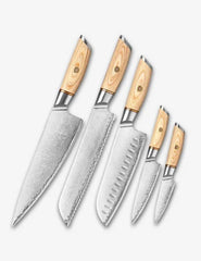 Blissful Edge Series 5pcs Damascus Steel Chef, Utility, Santoku, Bread and Pairing Knife