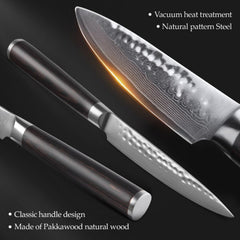 B1Z 2pcs Knife Set 1 pc 8 inch chef knife, 1 pc 5 inch utility knife 67 Layers Damascus steel having Nature ebony Wood Handle