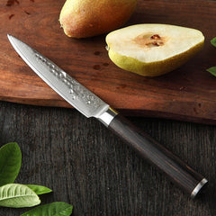 B1Z 5 inch 67 Layers Damascus steel Utility Knife for Cutting Tomatoes, Potatoes, Apples, Citrus Fruits and Cucumbers Having Nature ebony Wood Handle