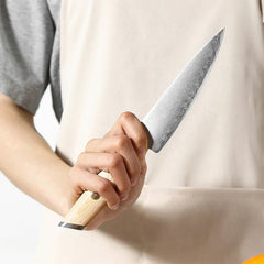 Blissful Edge Series 3.5 Inch Damascus Steel Paring Knife