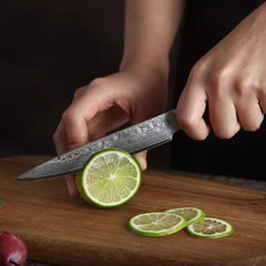 Black Hawk Series 5 inch Damascus Steel Utility Knife