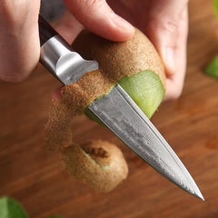 Black Hawk Series 3.5 inch Damascus Steel Paring Knife