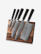 B1Z 6pcs Knife Set, 67 Layers Damascus steel Having Nature eBony Wood Handle