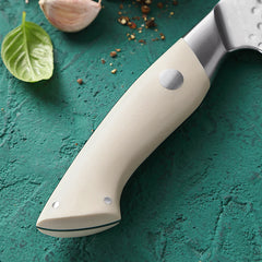 5 Pcs Damascus Kitchen Chef Knife Set With G10 Handle