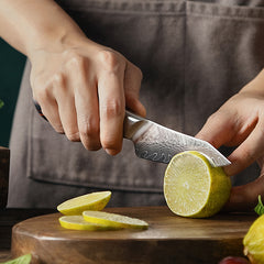 5pcs Damascus Kitchen Knife Set With Gift Box