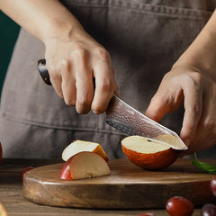 5pcs Damascus Kitchen Knife Set With Gift Box