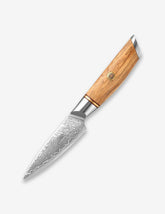 Blaze Series 3.5 Inch Damascus Steel Paring Knife Having Olive Wood Handle