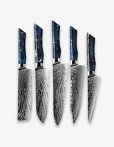 DMS-321 5 Damascus Steel Oem Master Kitchen Knife Set