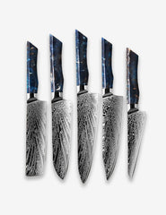 DMS-321 5 Damascus Steel Oem Master Kitchen Knife Set