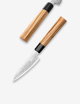 Precision Master Series 4 Inch Damascus Steel Paring Knife