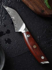 Blade Born Series 3.5 Inch Damascus Steel Paring Knife Having Triple Rivets Handle