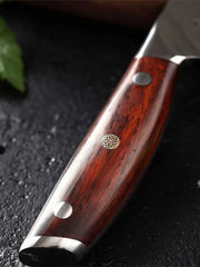 Blade Born Series 3.5 Inch Damascus Steel Paring Knife Having Triple Rivets Handle