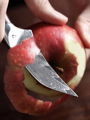 Blade Born Series 3.5 Inch Damascus Steel Paring Knife Having Triple Rivets Handle