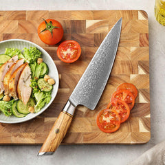 Blaze Series 8.5 Inch Damascus Steel Chef Knife