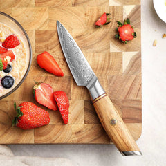 Blaze Series 3.5 Inch Damascus Steel Paring Knife Having Olive Wood Handle