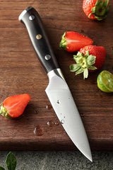 B13S 3.5 Inch Paring Knife, German 1.4116 Steel, Having Nature Ebony Wood Handle