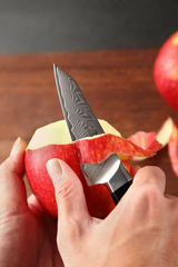 Bold Zenith Series 5pcs Damascus Steel Knife Set