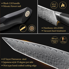 Bold Zenith Series 6 pcs Damascus Steel Knife Set With Black Handle