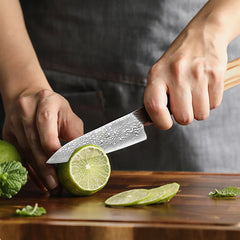 Precision Master Series 4 Inch Damascus Steel Paring Knife