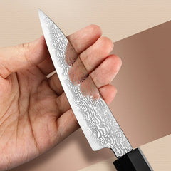 Precision Master Series 4 Inch Damascus Steel Paring Knife
