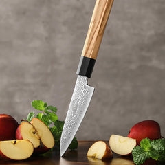 Precision Master Series 4 Inch Damascus Steel Paring Knife