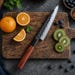 Prime Series 4pcs Composite Steel Knife Set