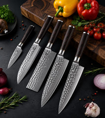 5 Piece Damascus Knife Set, 67 Layer Japanese Chef Knives, Hammered Steel Kitchen Knife, Pakkawood Handle, Gift Box