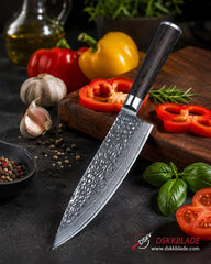 8 Inch Damascus Chef Knife, 67-Layer Steel Blade, Pakkawood Handle, Double Bevel
