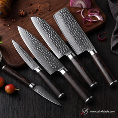 5 Piece Damascus Kitchen Knife Set, 67 Layer Chef Knife, Pakka Wood Handles