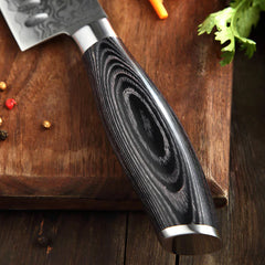 Benchmark Series 5pcs Damascus Steel Knife Set Having Wood Handle