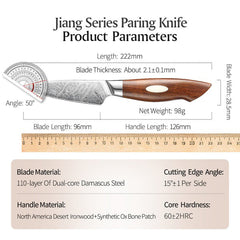 Bold Dynasty Series 3.5 Inch Damascus Steel Paring Knife