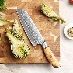 Blaze Series 7 Inch  Damascus Steel Santoku Knife