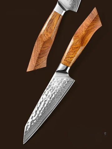 SRS13 5 Inch Utility Knife, Original Japan 49 Layers SRS13 Damascus Steel Having North America Desert Ironwood Handle