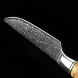 B30 5 Inch Steak Knife, 67 Layers Damascus Steel Having Figured Sycamore Wood Handle