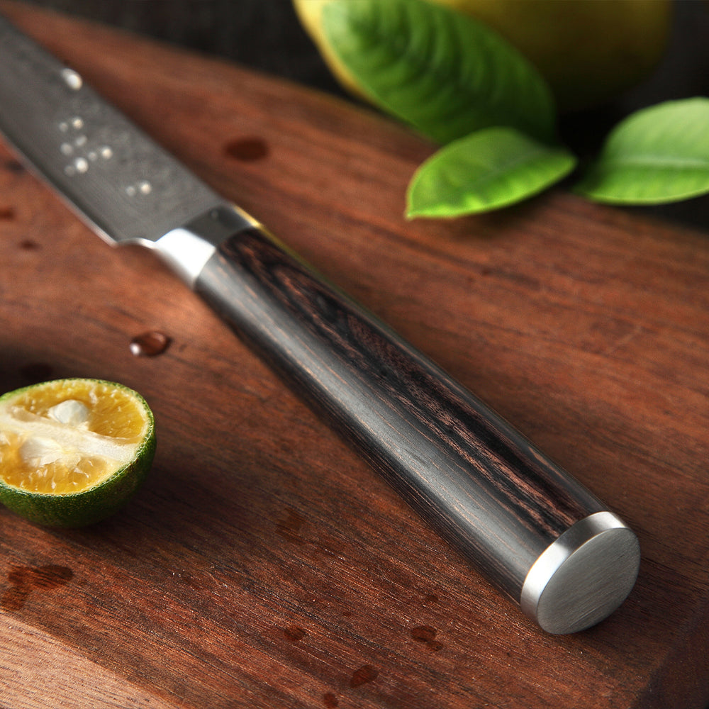 Black Hawk Series 5 inch Damascus Steel Utility Knife