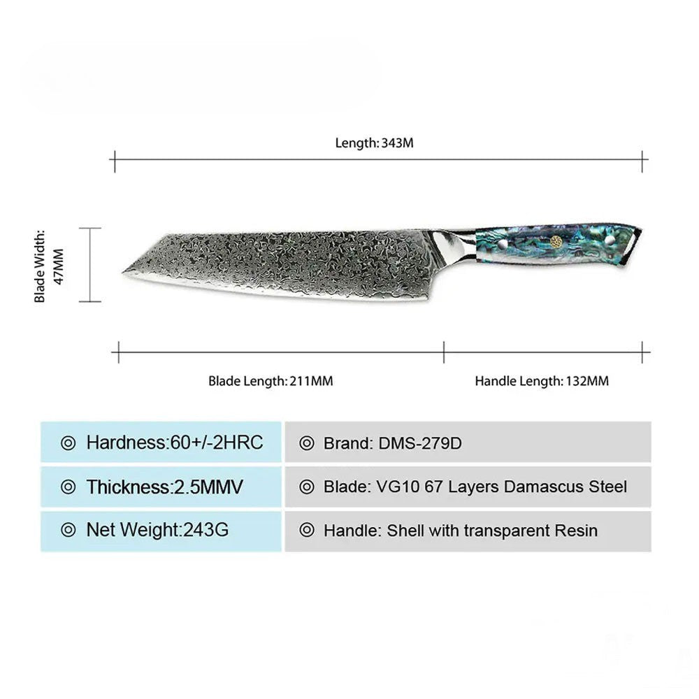 Professional Damascus Vg 10 Steel Core 67 Layers Stainless Steel Abalone Handle