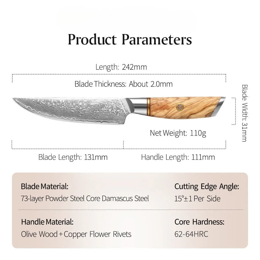 Blaze Series 5 Inch  Damascus Steel Steak Knife