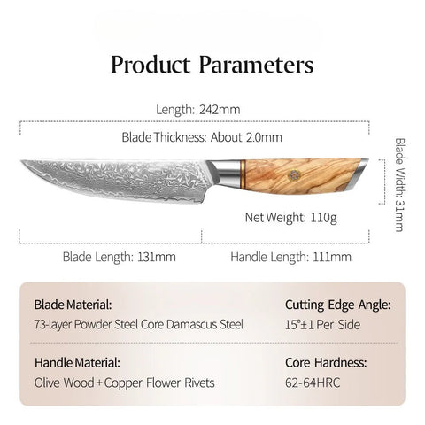 Blaze Series 5 Inch  Damascus Steel Steak Knife