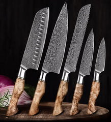 5PC Damascus Chef Knife Set, 67 Layer Japanese Style, Figured Sycamore Wood Handles
