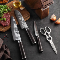 BlackHawk Series 4 pcs Damascus Knife Set