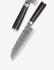 B1Z 7 inch 67 Layers Damascus steel santoku Knife having Nature ebony wood Used to Cut Vegetables, Meat, and Fish