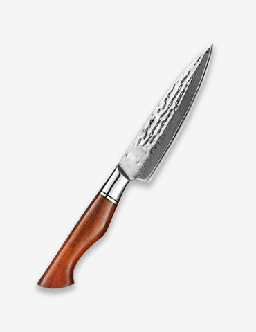 B30R 5 Inch Utility Knife, 73 Layers Damascus Steel With Powder Steel Having Nature Rosewood Handle