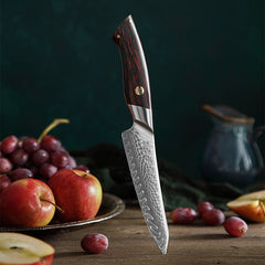 5pcs Damascus Kitchen Knife Set With Gift Box