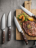 Bias Cut Series 6 Inch German Steel Steak Knife