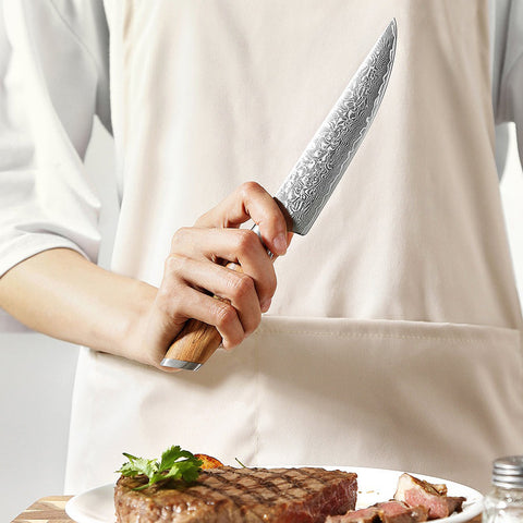 Blaze Series 5 Inch  Damascus Steel Steak Knife