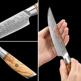 Blaze Series 5 Inch  Damascus Steel Steak Knife